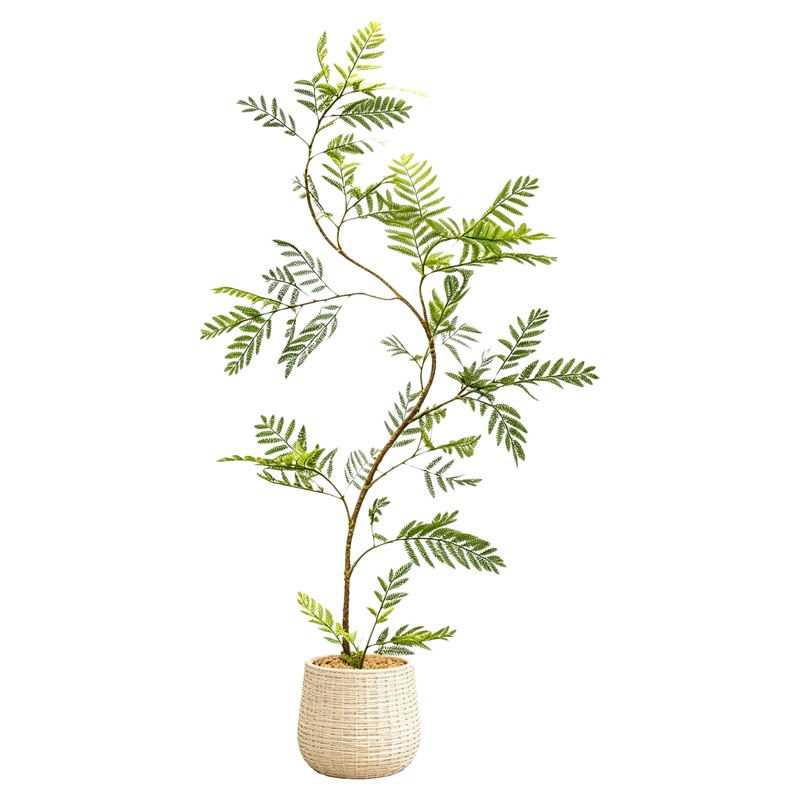 仿真植物蓝花楹室内装饰客厅电视柜旁摆件盆栽高级感逼真植物盆景
