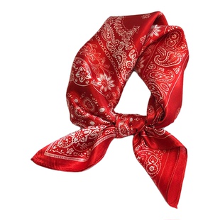 高档红色真丝丝巾腰带女2025新款小方巾百搭秋冬100%桑蚕丝小领巾