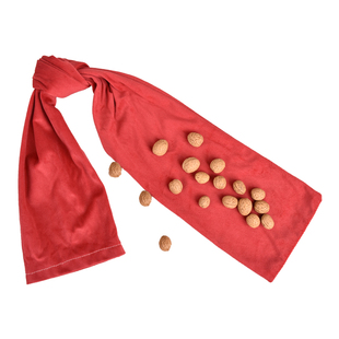 经络拍打甩袋小山核桃拍背中医健康养生敲打疏通筋络神器健身按摩