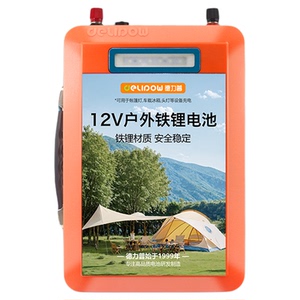 大容量12v锂电池德力普24v
