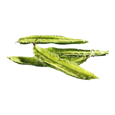 农科院四季易种大叶芫荽香菜种子