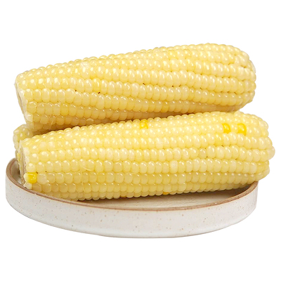 新鲜黏粘糯玉米|超6000次加购
