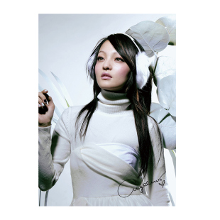 张韶涵海报专辑封面华语女歌手港台明星画报防水自粘卧室装饰墙贴