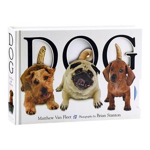 Matthew Van Fleet Animal Trio Moo Cat Dog 动物操作书 Dance Alphabet 纸板书 英文原版 亲子启蒙 0-3岁 MatthewVanFleet