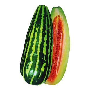 三叶花酥瓜种子 脆瓜酥瓜楞瓜薄皮菜瓜种子早熟高产肉厚味 春季播