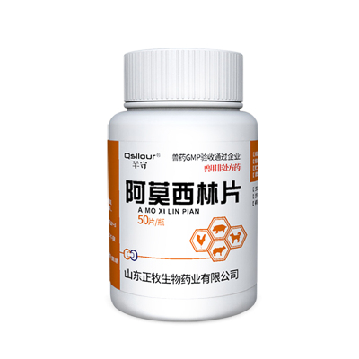猫咪狗狗感冒药宠物猫用鼻支感染