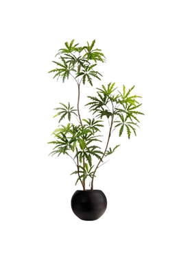 仿真绿植孔雀木室内大型盆景