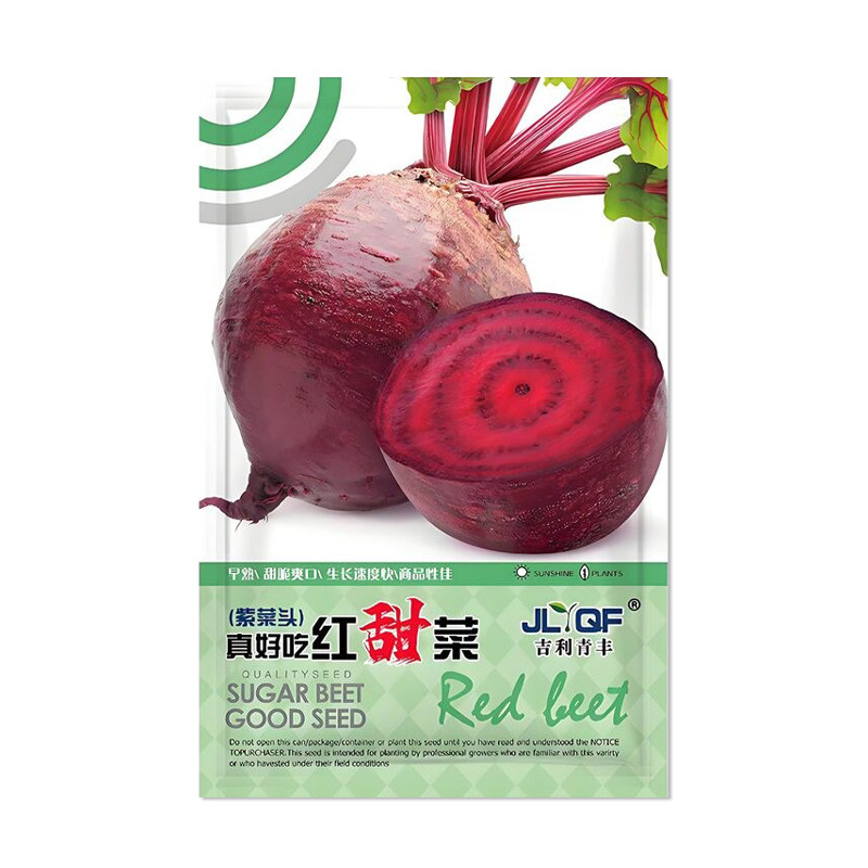 吉利青丰红甜菜紫菜头种子