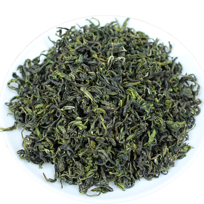 2025日照绿茶古城春头采特级春茶