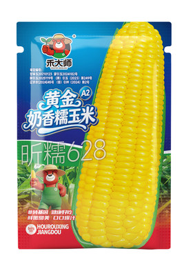 昕糯628黄甜糯玉米种子大棒矮杆种田地量产黑白苞米苞谷春秋种植
