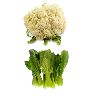 燎原绿色菜花油菜上海青时令新鲜蔬菜套餐宝宝辅食沙拉现摘现发