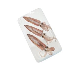 澳角帆船 东山岛灯捕小管鱿鱼白灼鱿鱼海兔小乌贼海鲜水产鲜活