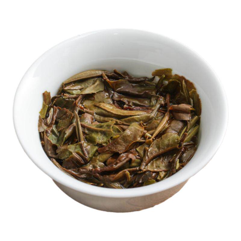 老白茶景谷月光白云春堂母树原叶