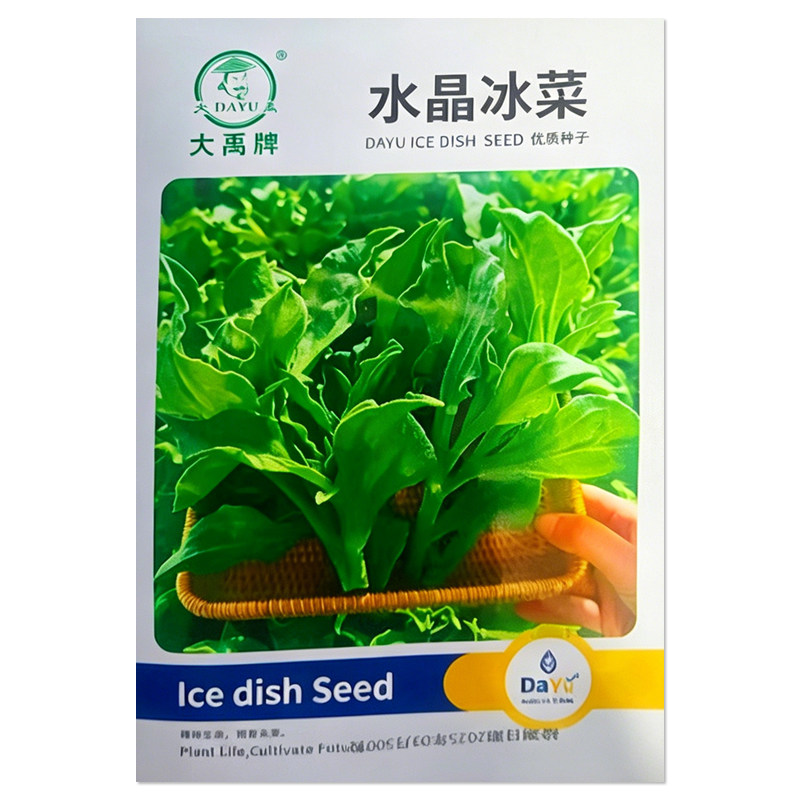 水晶冰菜种子特色蔬菜种子