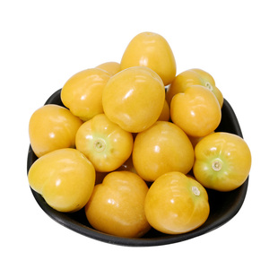 姑娘果种子黄姑娘小姑娘薄皮黄金果红姑娘果籽东北水果种子四季播