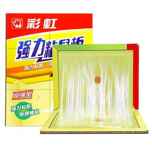 彩虹老鼠贴超强力粘鼠板家用胶粘老鼠贴一窝抓捕鼠神器端加厚正品
