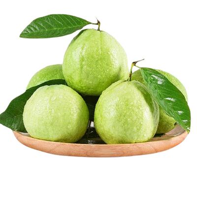 广东新安白心番石榴脆甜芭乐低糖分孕妇当季水果新鲜采摘批发