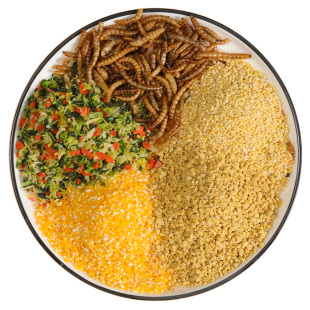 小鸡饲料宠物幼鸡雏鸡鹌鹑鸭子育雏开口粮产蛋专用芦丁鸡粮食食物