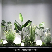 Не быть скромным или скромным