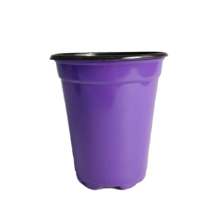 育苗盘双色盆10厘米加深加厚月季扦插盆假植盆小黑方塑料花盆托盘