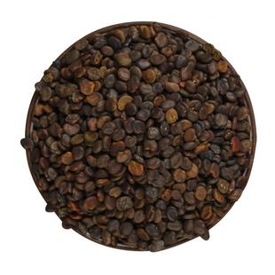 药材种子大全中药材种植苗黄芪当归党参板蓝根种籽春四季药材籽种