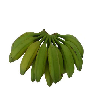 广西牛蕉大蕉大芭蕉牛角蕉板蕉广西特产5斤新鲜无催熟剂冬天偏小