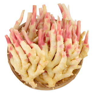 四川新鲜大仔姜5斤子姜生姜嫩姜红芽仔姜指姜非云南小黄姜老姜种