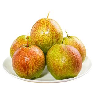 【顺丰上门】正宗山西玉露香梨新鲜水果梨子10斤整箱酥梨冰糖雪梨