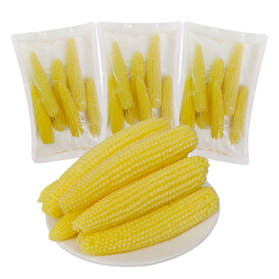 吉食道清水甜玉米笋500g*3袋不辣去皮新鲜原味袋装火锅食材商用