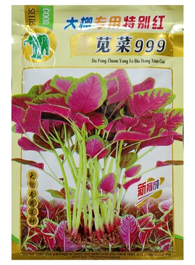 大棚专用特别红苋菜999种子大红