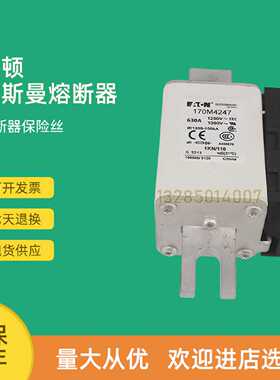 议价全新快速熔断器保险170M4269 170M4308 170M4309 170M4310