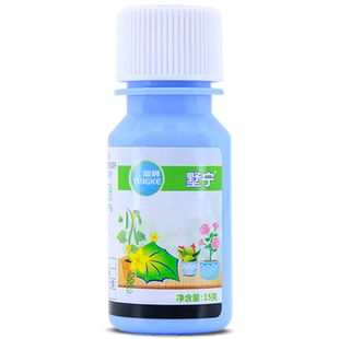 月季多肉白粉病杀菌剂草莓白霉蔷薇白斑大叶黄杨白色粉末白霜白粉
