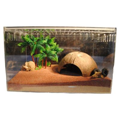 特价天然椰壳躲避洞穴守宫寄居蟹