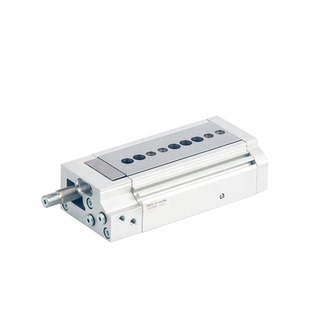 气动滑台气缸DGSL-6/8/10/12/16/20/25-10/20/30/40/50-C-E3-P-A