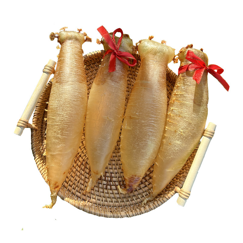 嗨动力赤嘴鳘鱼胶原筒孕妇月子