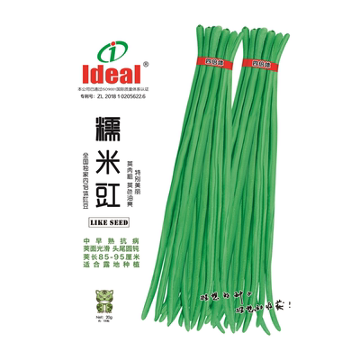 豆角种子长豆角老品种