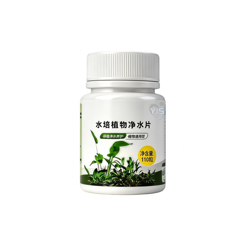 富贵竹碗莲水培净水片不黄叶防臭
