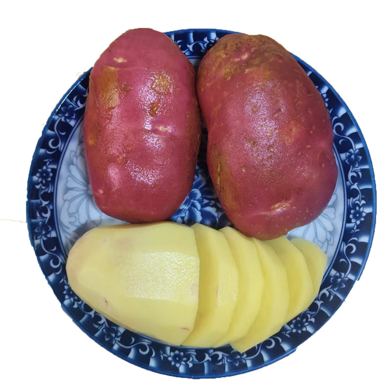 云南红皮土豆产地批发