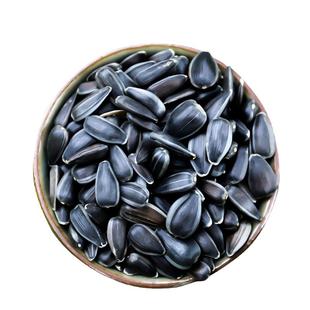 鹦鹉鸟粮饲料鸟食油葵小瓜子奖励零食鹦鹉玄凤虎皮牡丹专用鸟粮食