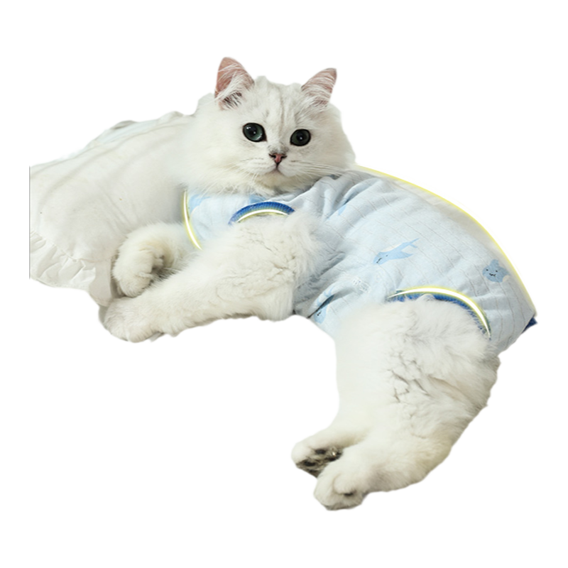猫咪纯棉舒适透气护肚衣