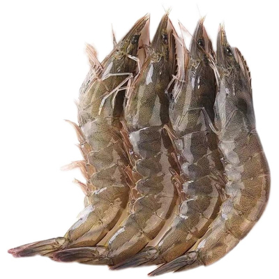 活虾船上速冻海捕包邮顺丰