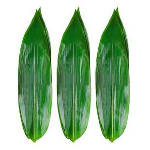 粽叶新鲜粽子叶干大号100片野生箬叶包粽子的叶子批发商用鲜棕叶