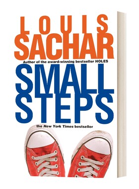 英文原版 Small Steps 碎步 追梦少年 洞的作者路易斯萨奇 英文版 进口英语原版书籍