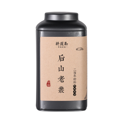 狮头脚【后山老丛】单株