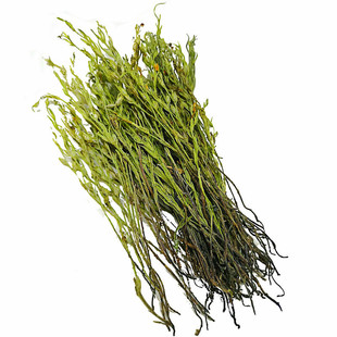 独脚金中药材疳积草新鲜野生独角金矮脚子干草儿童开炖煲汤胃精选