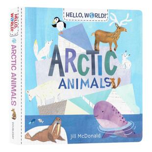 英文原版绘本 你好世界北极动物Hello World Arctic Animals2-6岁儿童早教启蒙科普绘本进口英语纸板书籍简单词汇早教读物图画书
