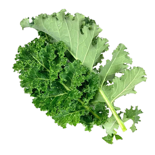 新鲜羽衣甘蓝2斤 蔬菜沙拉食材嫩叶甘兰kale西餐健身榨汁蔬菜配菜