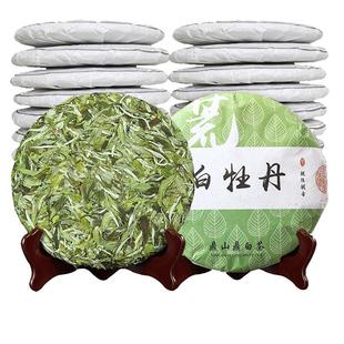 8饼福鼎老白茶白牡丹太姥山脉2019年福建明前荒野茶叶共2400克