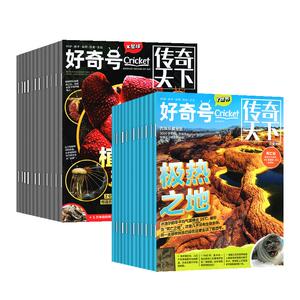 好奇号2026订阅/2025年1-12月全