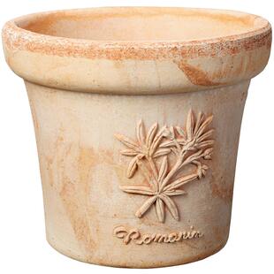 帝罗马香草浮雕手工陶土花盆绿植盆栽种植室内阳台种花盆透水透气